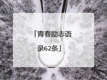 青春励志语录62条