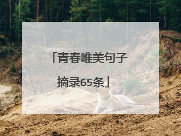 青春唯美句子摘录65条