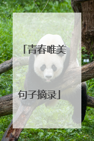 青春唯美句子摘录