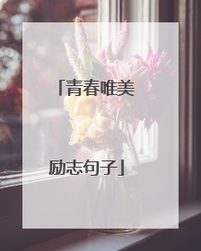 青春唯美励志句子