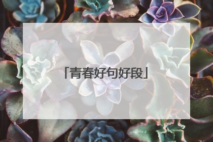 青春好句好段