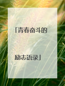 青春奋斗的励志语录