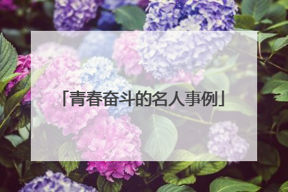 青春奋斗的名人事例