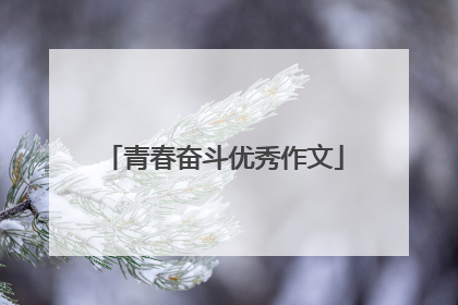 青春奋斗优秀作文