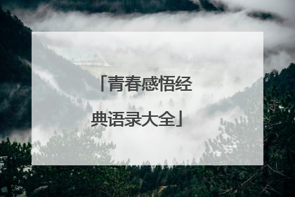 青春感悟经典语录大全