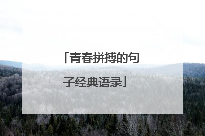 青春拼搏的句子经典语录