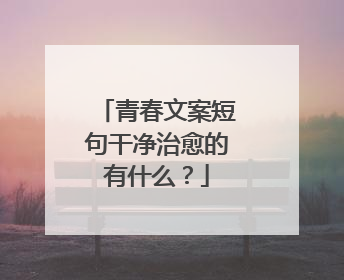 青春文案短句干净治愈的有什么?