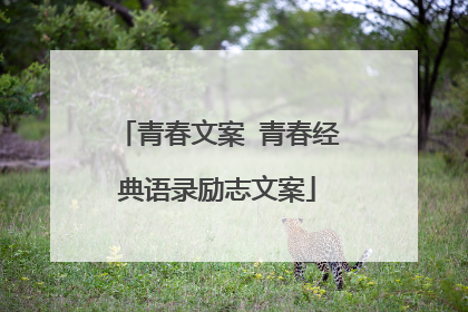 青春文案 青春经典语录励志文案