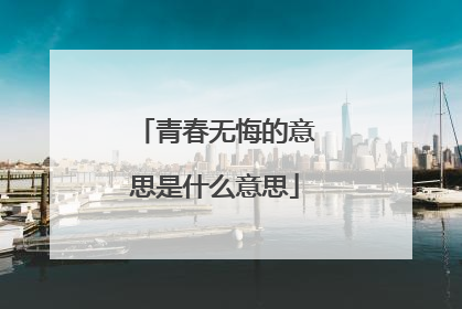 青春无悔的意思是什么意思