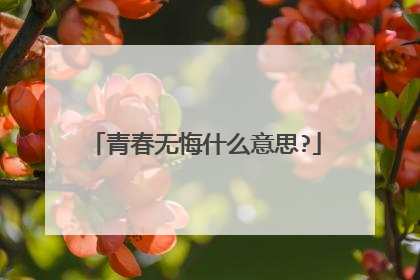 青春无悔什么意思?