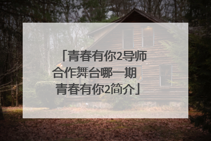 青春有你2导师合作舞台哪一期 青春有你2简介