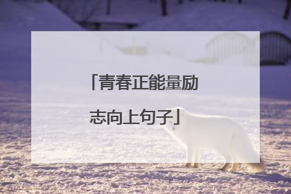 青春正能量励志向上句子