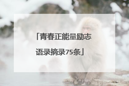 青春正能量励志语录摘录75条