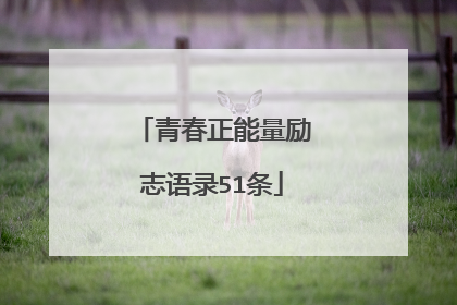 青春正能量励志语录51条