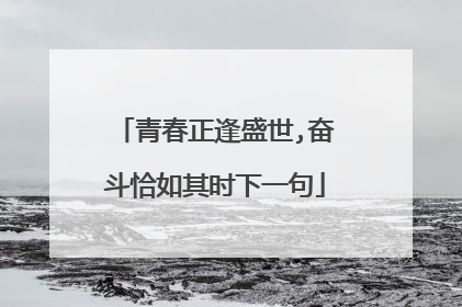 青春正逢盛世,奋斗恰如其时下一句
