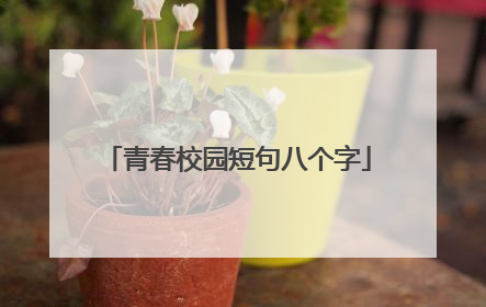青春校园短句八个字