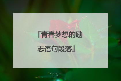 青春梦想的励志语句段落