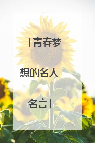 青春梦想的名人名言
