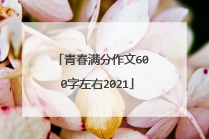 青春满分作文600字左右2021