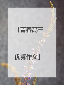 青春高三优秀作文
