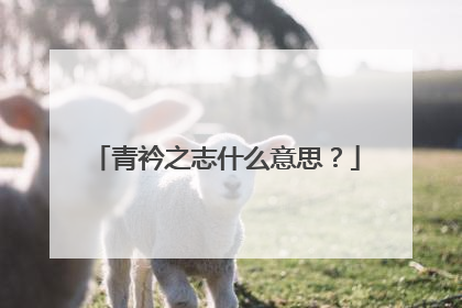 青衿之志什么意思?