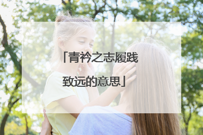 青衿之志履践致远的意思