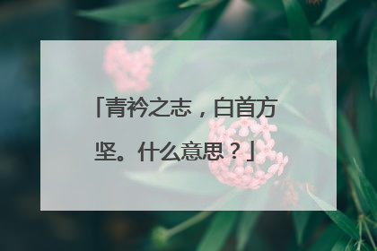 青衿之志，白首方坚。什么意思？