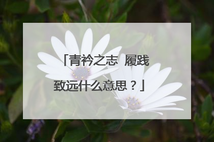 青衿之志 履践致远什么意思?