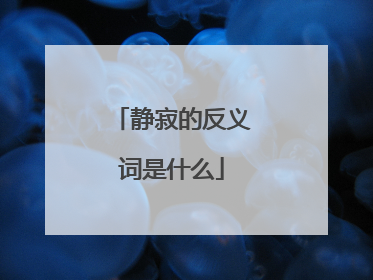 静寂的反义词是什么