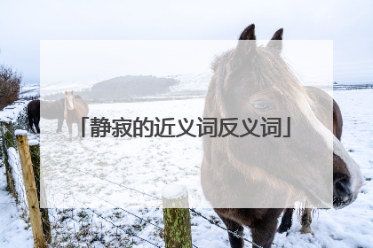 静寂的近义词反义词