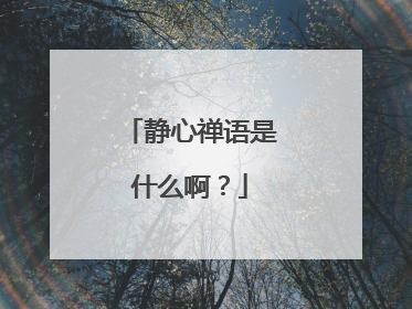静心禅语是什么啊?