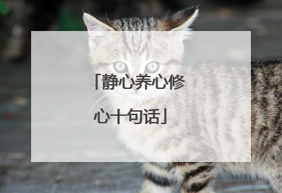 静心养心修心十句话