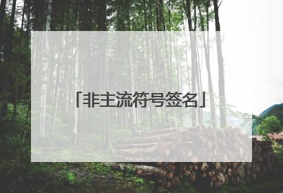 非主流符号签名