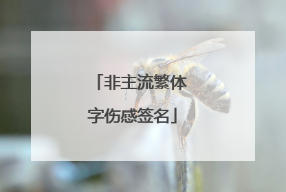 非主流繁体字伤感签名