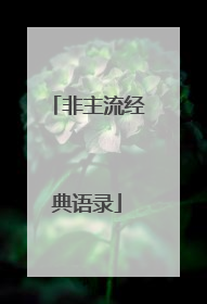 非主流经典语录