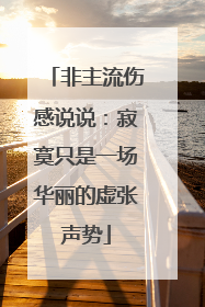 非主流伤感说说：寂寞只是一场华丽的虚张声势