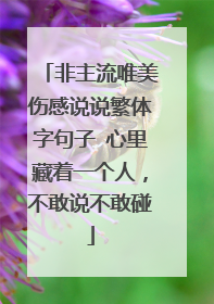 非主流唯美伤感说说繁体字句子 心里藏着一个人,不敢说不敢碰