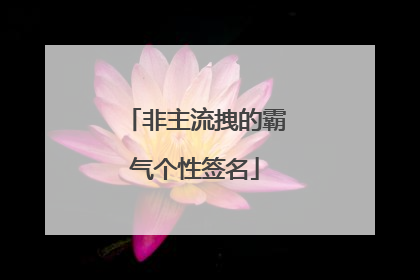 非主流拽的霸气个性签名