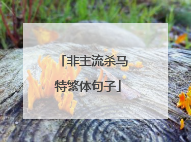 非主流杀马特繁体句子