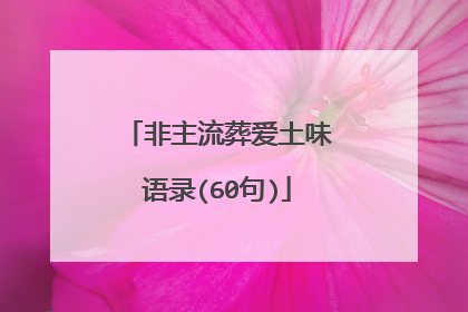 非主流葬爱土味语录(60句)