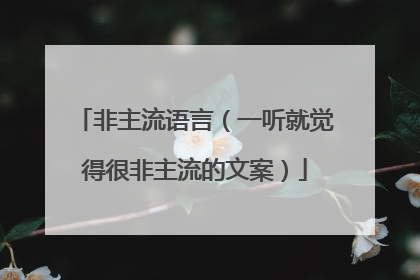 非主流语言（一听就觉得很非主流的文案）