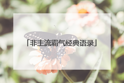 非主流霸气经典语录