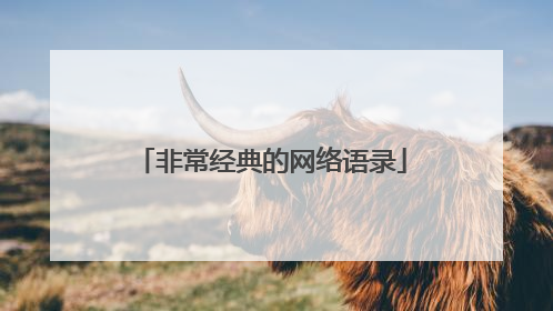 非常经典的网络语录