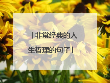 非常经典的人生哲理的句子
