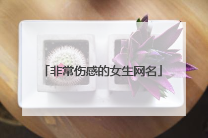 非常伤感的女生网名