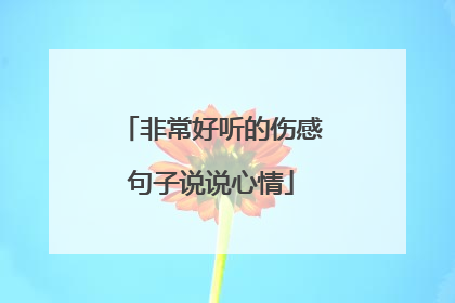 非常好听的伤感句子说说心情