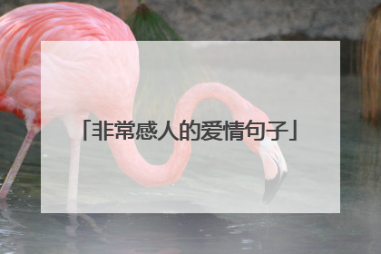 非常感人的爱情句子