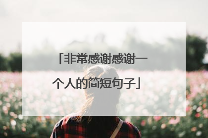 非常感谢感谢一个人的简短句子
