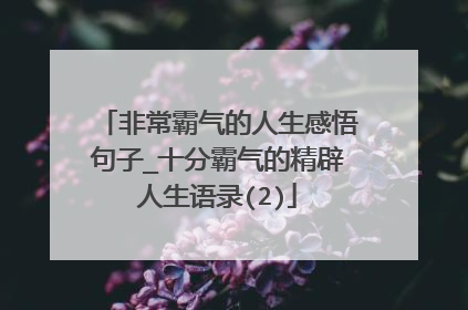 非常霸气的人生感悟句子_十分霸气的精辟人生语录(2)