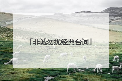 非诚勿扰经典台词